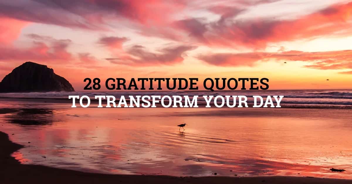 gratitude quotes