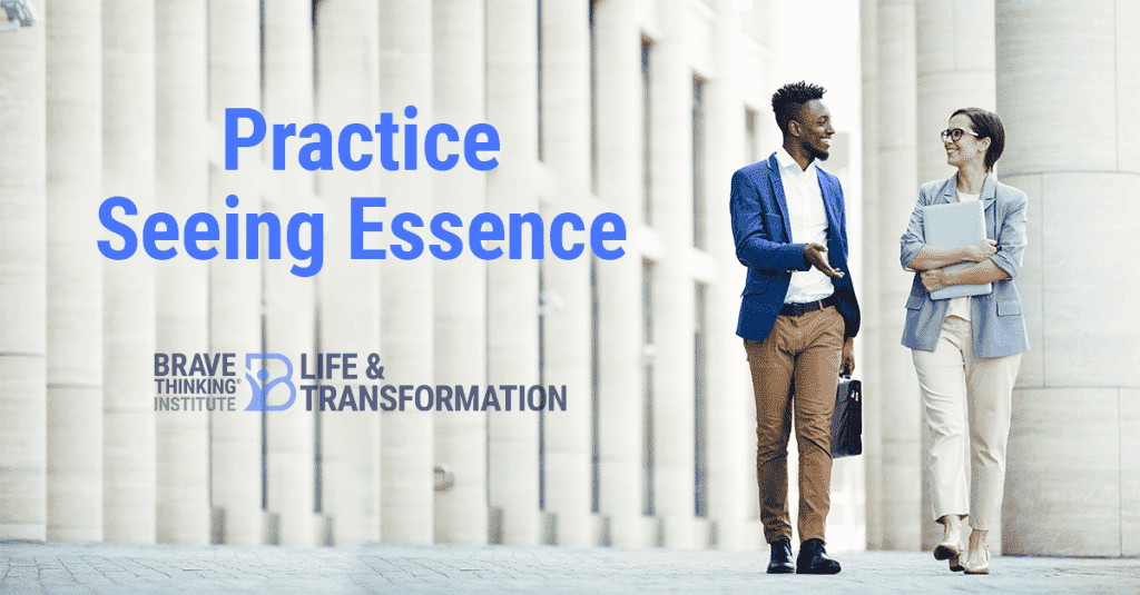 Practice Seeing Essence