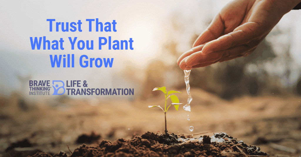 Trust That What You Plant Will Grow